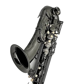 Amazon.co.jp: テナーサックス 管楽器 Bフラット プロ演奏